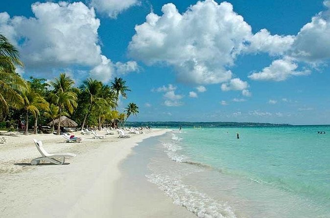 Seven Mile Beach and Rick’s Cafe Private Tour - What the drivers add to the day