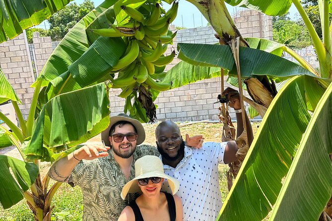 Sightseeing and Shopping Tour in Montego bay - Jamaican food, snacks, and a flexible lunch stop