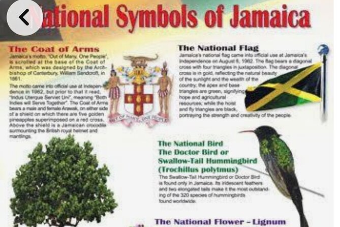Sightseeing Tour in Ocho Rios - Why this Ocho Rios tour works best as a private day
