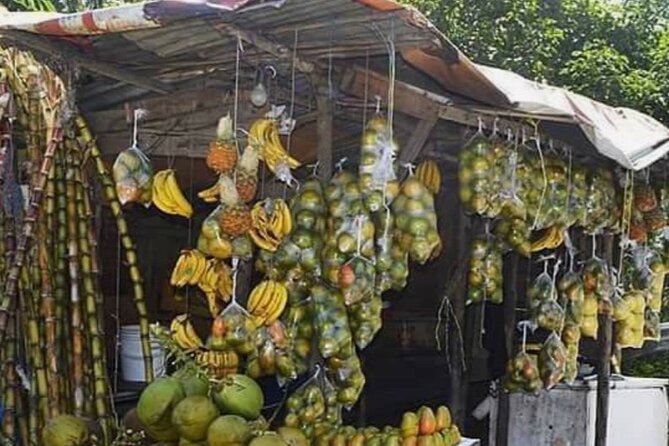 Sightseeing Tour in Ocho Rios - Dunn’s River Falls turns sightseeing into a group climb
