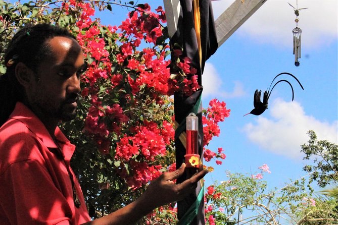 Skip the Line: Ahhh Ras Natango Gallery and Garden Admission Tickets - The hummingbird encounter