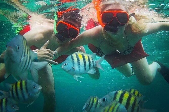 Snorkeling and Shopping in Montego Bay with Hotel pickup - Getting from your hotel to the water