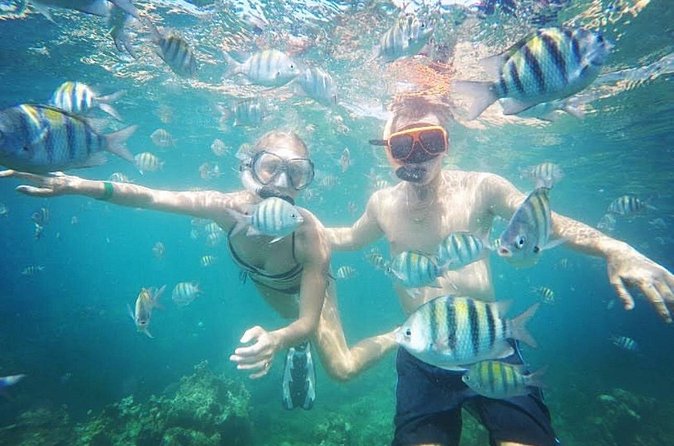 Snorkeling and Shopping in Montego Bay with Hotel pickup - Exploring Montego Bay’s Hip Strip afterward