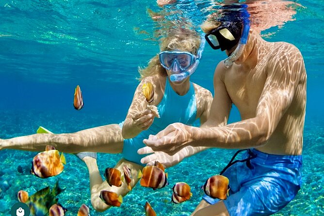 Snorkeling and Shopping in Montego Bay with Hotel pickup - What the positive experiences tell you