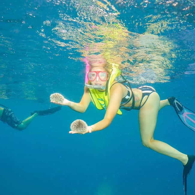 Snorkeling in Montego Bay with Transportation - The 15-minute ride to Montego Bay