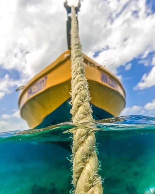 Snorkeling in Montego Bay with Transportation - What the private group changes