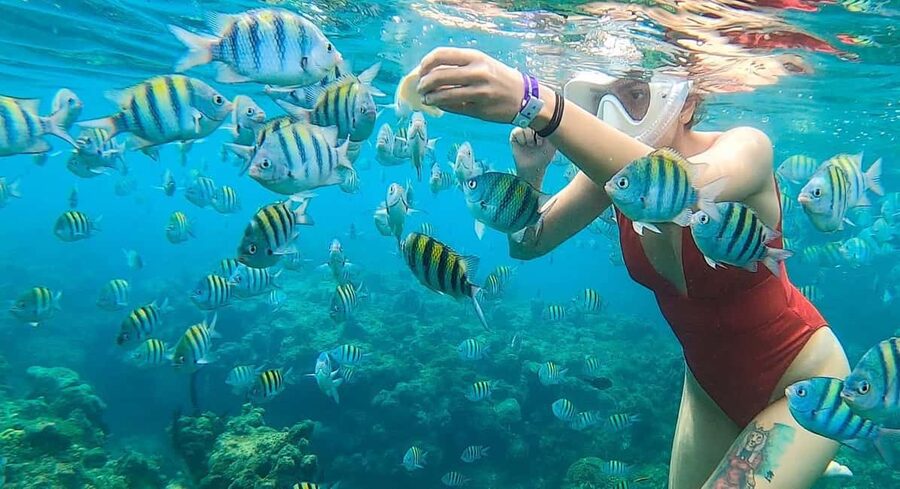 Snorkeling in Montego Bay with Transportation - Choosing the right pickup point in Jamaica