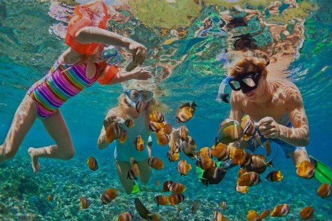 Snorkeling with Margaritaville and shops on Hipstrip activity - A short Jamaican outing with two very different moods