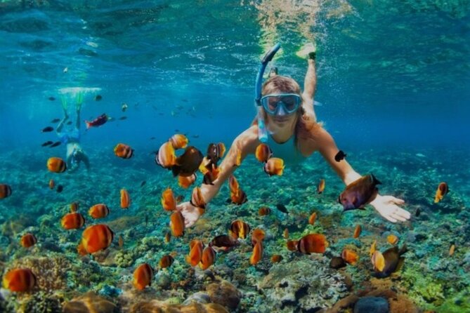 Snorkeling with Margaritaville and shops on Hipstrip activity - Getting ready with the snorkeling equipment
