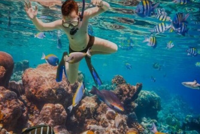 Snorkeling with Margaritaville and shops on Hipstrip activity - Pickup and the ride to the water