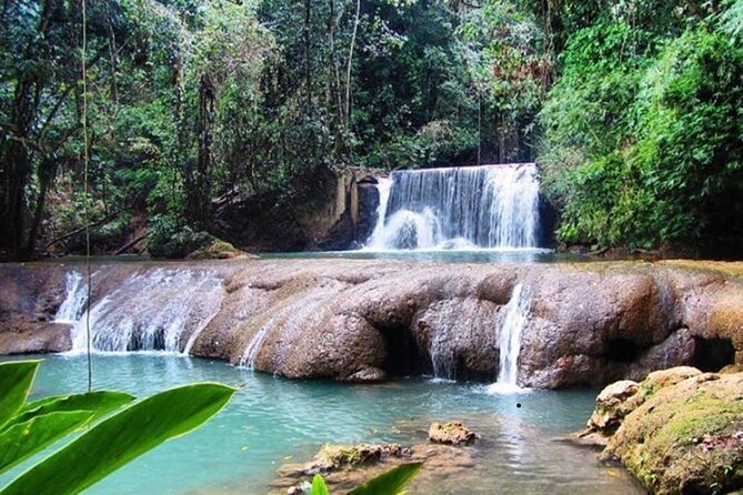 South Coast Cultural Tour History and Nature - Appleton Estate: rum with a sense of place