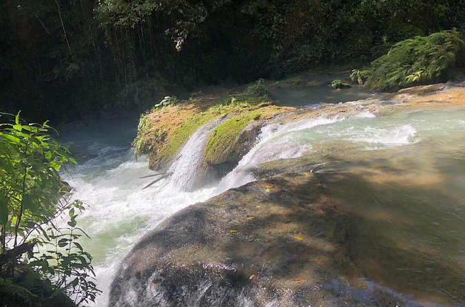 South Coast Jamaica YS Falls Tour - Who will enjoy this outing most