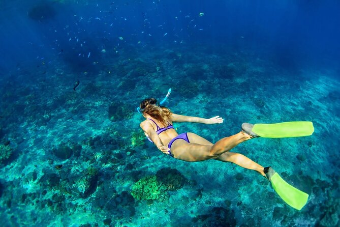 Sunset Catamaran cruise, Snorkeling and Rick's Cafe from Mobay - Snorkeling without booking a private charter