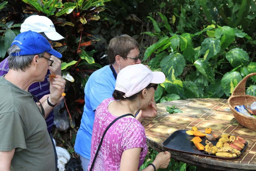 Taste of Jamaica Farm & Food Tour - Key points to know before you book