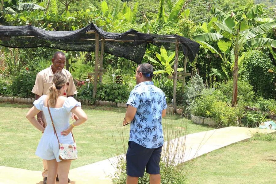 Taste of Jamaica Farm & Food Tour - Why this farm visit feels different from a standard Jamaica tour
