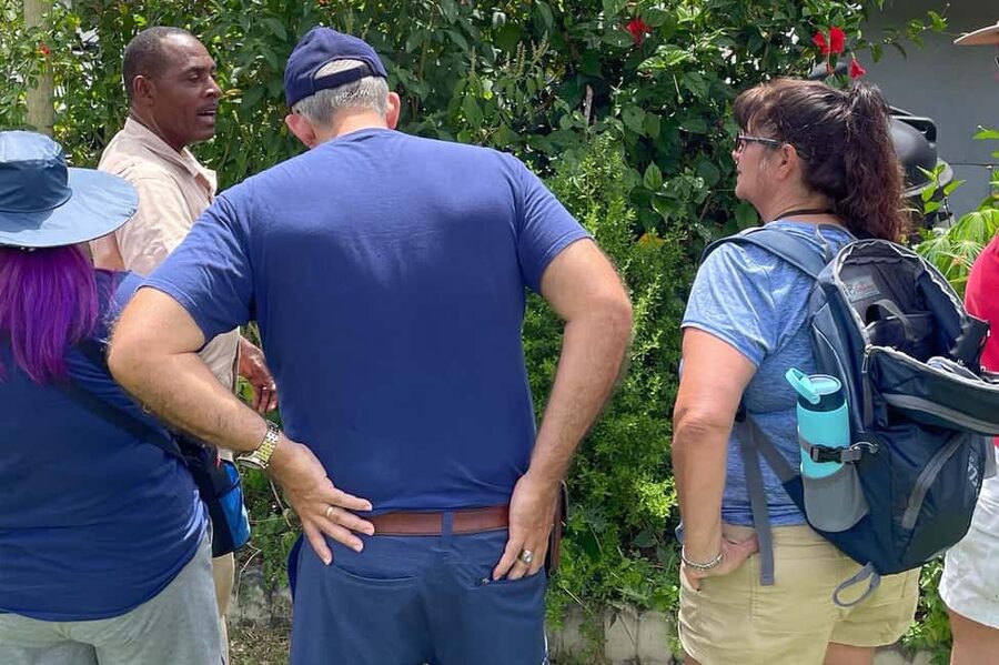 Taste of Jamaica Farm & Food Tour - Coffee, fruit trees, and farm animals