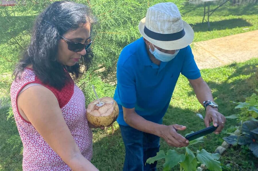 Taste of Jamaica Farm & Food Tour - Getting there from Ocho Rios