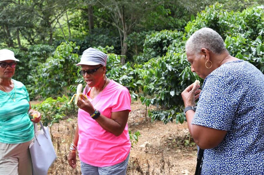 Taste of Jamaica Farm & Food Tour - The gift shop and taking herbs home