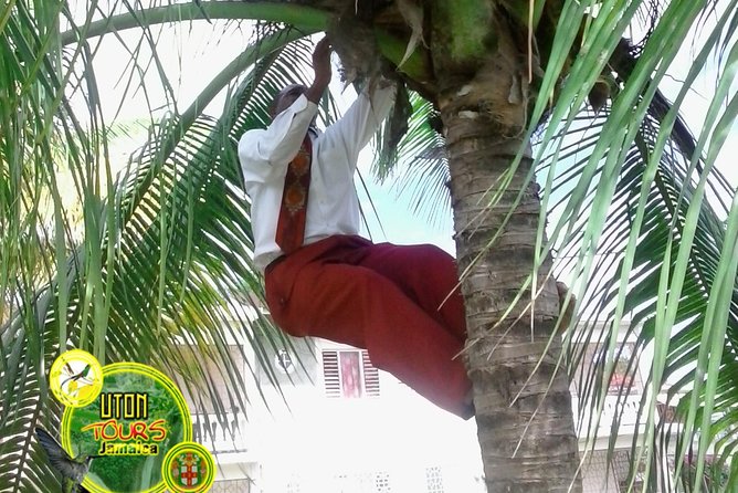 The AMAZING Montego Bay Tour - Seeing Montego Bay beyond the resort strip