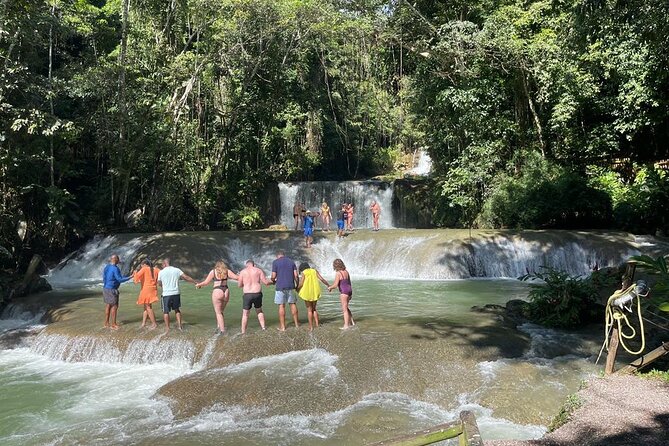 Tour to Black River and YS Falls - Black River by boat, with crocodiles and mangroves