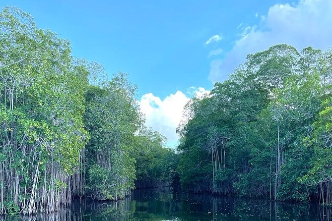Tour to Black River and YS Falls - Everald’s role makes the long drive easier