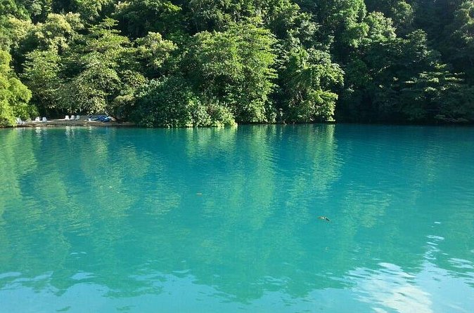 Tour to Fern Gully and Konoko Falls and Park - Who will enjoy this Ocho Rios outing?