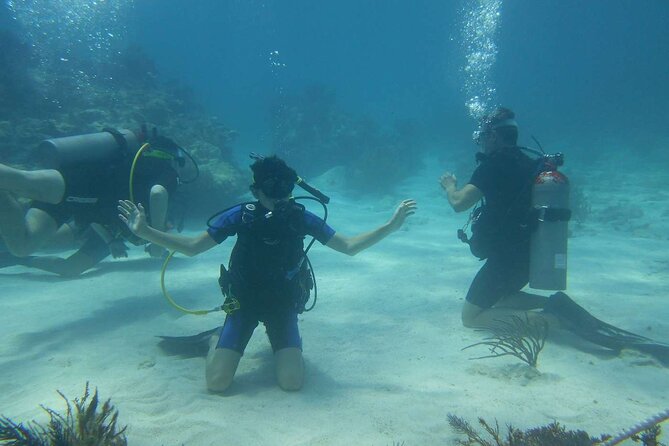 Two Tank Dive in Montego Bay w/Certified Divers - Two underwater sessions, not one long swim