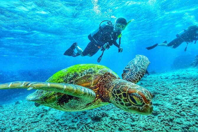 Two Tank Dive in Montego Bay w/Certified Divers - Why Carl matters to the experience
