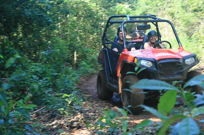 Wet n Dirty ATV Outback Adventure From Ocho Rios - Coconut Trees, Exotic Fruit, and Jamaican Plant Knowledge