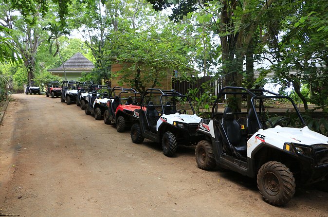 Wet n Dirty ATV Outback Adventure From Ocho Rios - Is $190 a Fair Price?