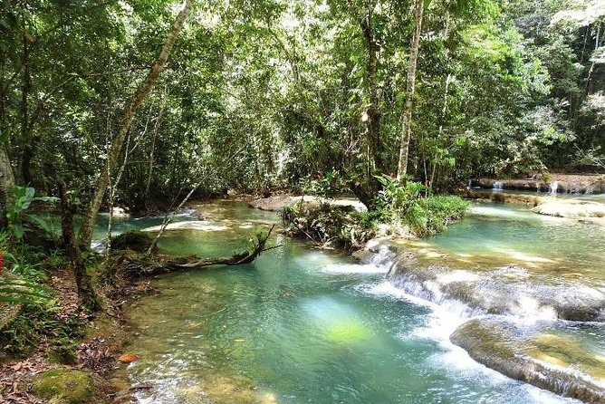 YS Falls and Appleton Estate Private Rum Tour - Is the $220 price fair?