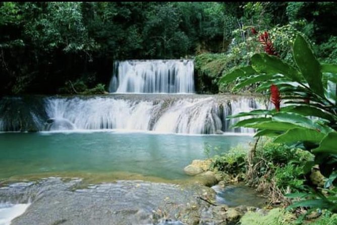 YS Falls and Appleton Estate Private Rum Tour - Timing, flexibility, and the cancellation rule