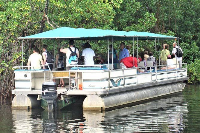 YS Falls and Black River Safari Guided Tour from Montego Bay and Grand Palladium - Why this South Coast combination works