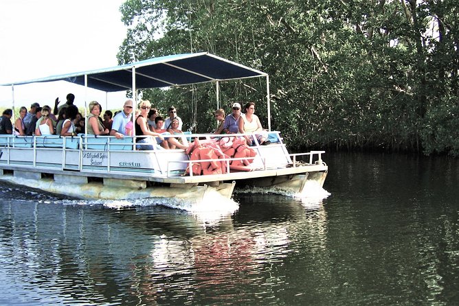 YS Falls and Black River Safari Guided Tour from Montego Bay and Grand Palladium - YS Falls, from tractor ride to swimming pool