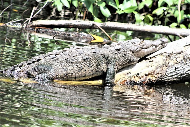 YS Falls and Black River Safari Guided Tour from Montego Bay and Grand Palladium - Lunch beside the Black River