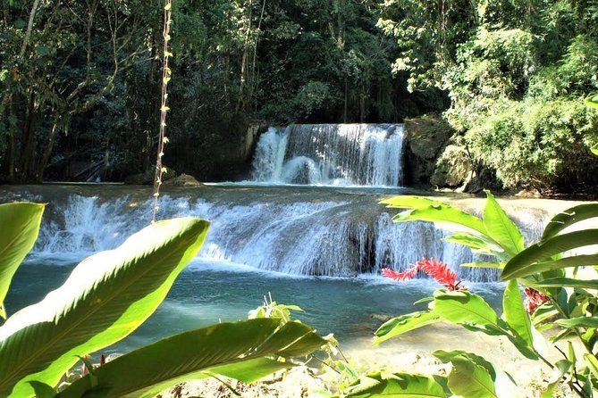 YS Falls and Black River Safari Guided Tour from Montego Bay and Grand Palladium - What to bring and how to prepare