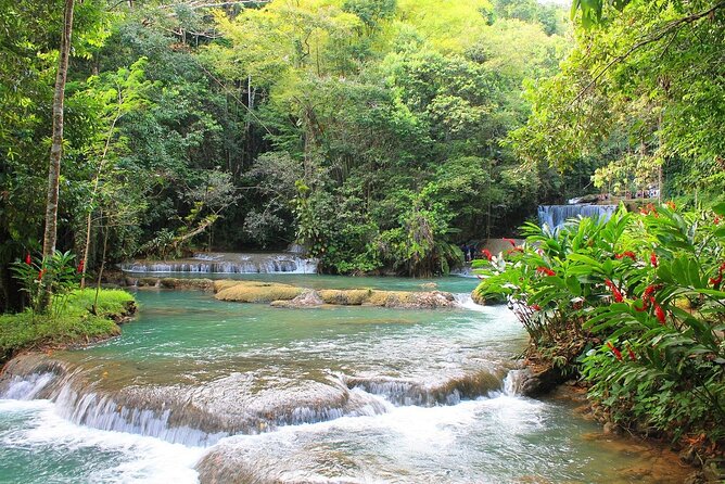 YS Falls and Black River Safari South Coast from Negril Jamaica - Key points to know before booking