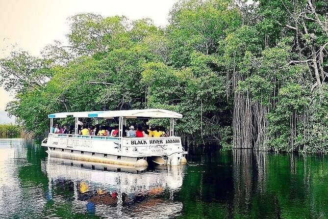 YS Falls and Black River Safari South Coast from Negril Jamaica - Practical planning for a smoother day