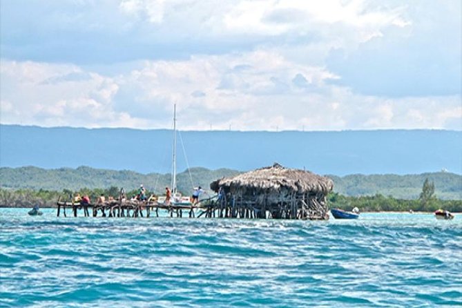 YS Falls and The Pelican Bar Adventure Tour from Negril - What the guide adds to the day