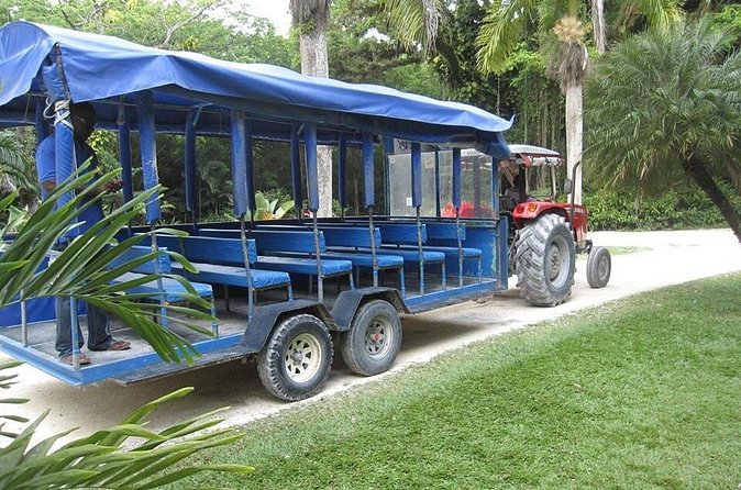 YS Falls and The Pelican Bar Adventure Tour from Negril - Who will enjoy this day most