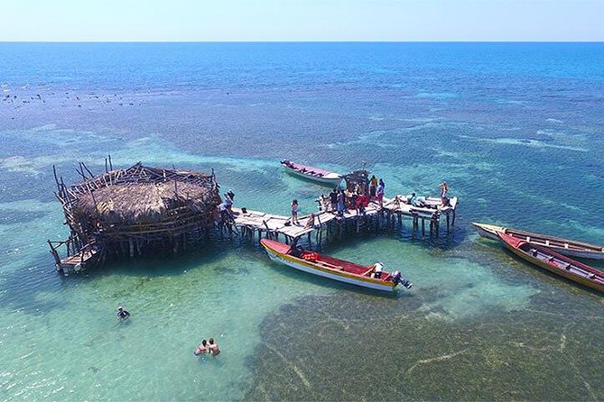 YS Falls and The Pelican Bar Adventure Tour from Negril - Should you book the YS Falls and Pelican Bar tour?