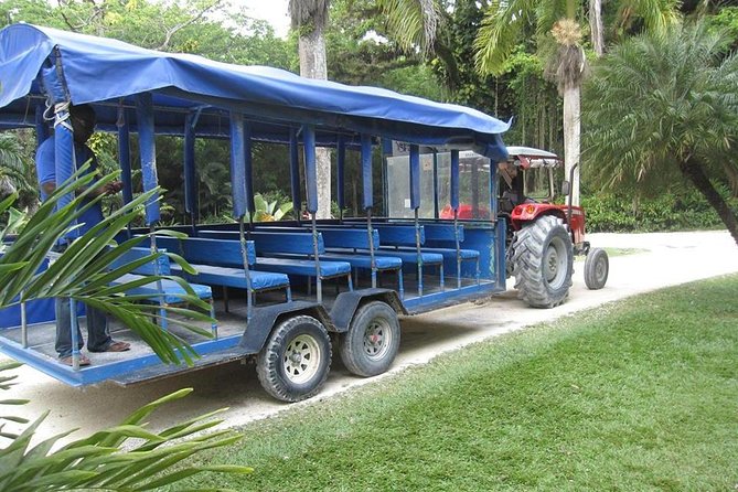 YS Falls and The Pelican Bar Adventure Tour from Negril - The boat ride to Floyd’s Pelican Bar