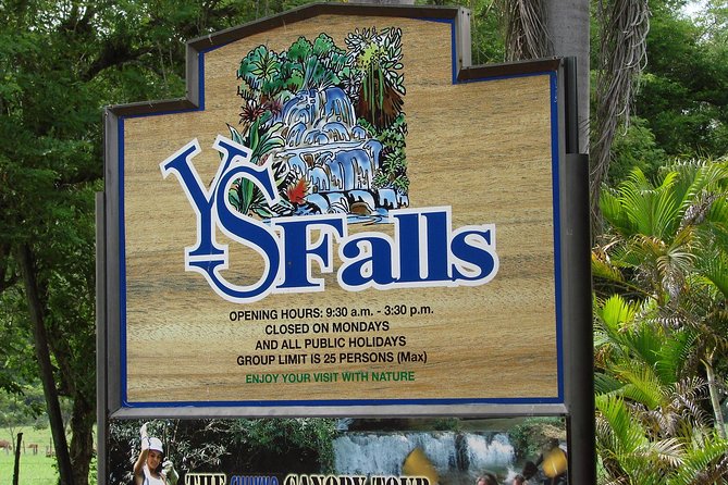 YS Falls, Black River Safari, and Floyd's Pelican Bar Day-Trip (Transportation) - Why this three-stop day works
