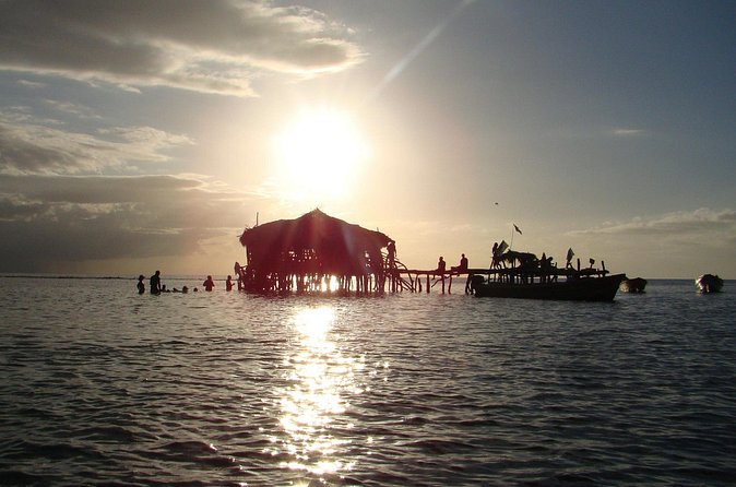 YS Falls, Black River Safari, and Floyd's Pelican Bar Day-Trip (Transportation) - Who should book this South Coast outing?