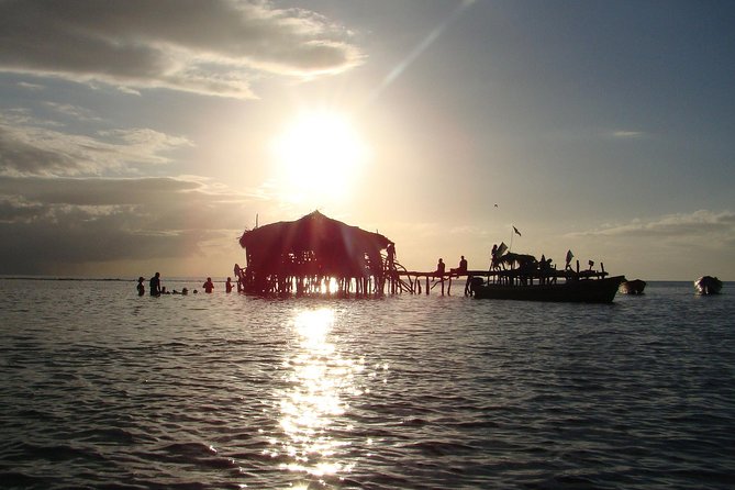 YS Falls, Black River Safari, and Floyd's Pelican Bar Day-Trip (Transportation) - Swaby’s Swamp Safari on the Black River