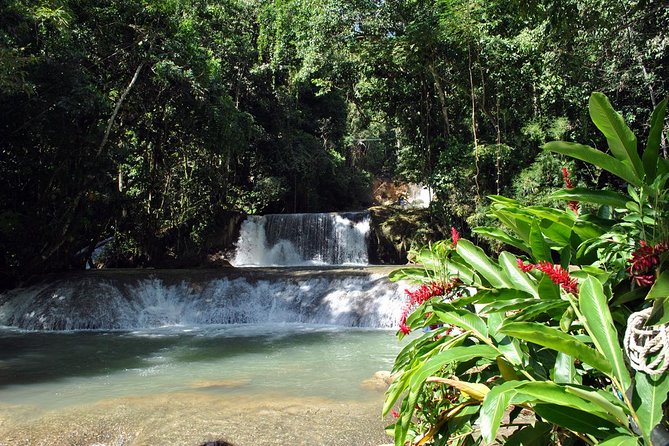 YS Falls, Black River Safari, Appleton Rum Tour OR Pelican Bar (Choose Up to 3) - What This Private South Coast Tour Really Includes