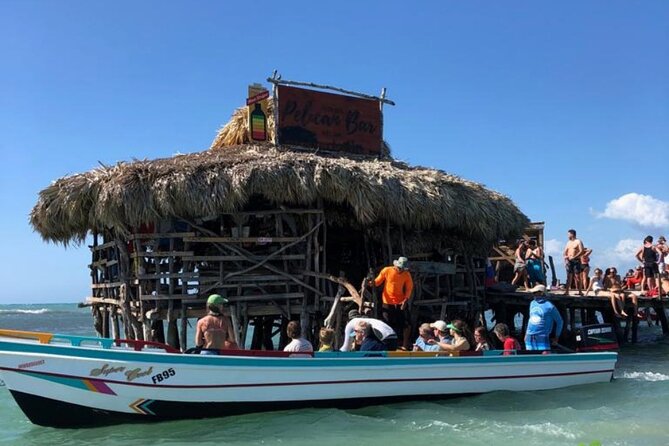 YS Falls, Black River Safari, Appleton Rum Tour OR Pelican Bar (Choose Up to 3) - Black River Safari: Crocodiles in a Different Jamaica