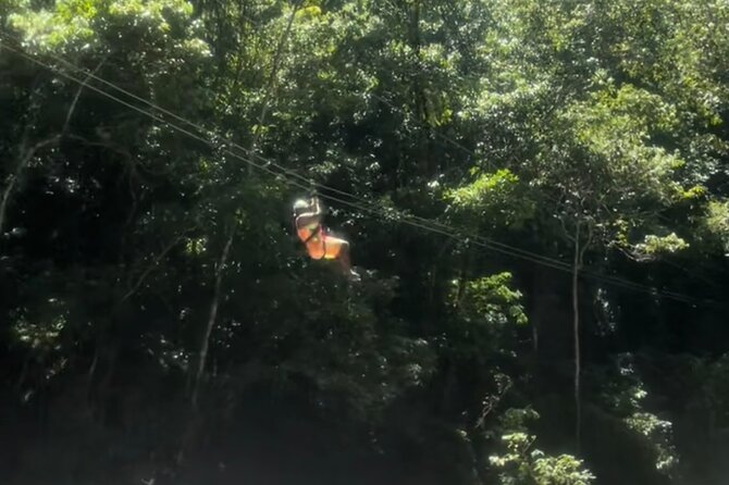 YS Falls, Black River Safari, Appleton Rum Tour OR Pelican Bar (Choose Up to 3) - Food Stops and the Local Touch