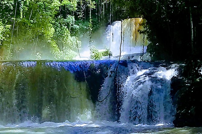 YS Falls & Pelican Bar Tour - What $120 really buys you