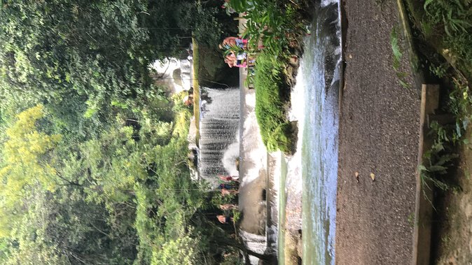 YS Falls Private Full-Day Adventure Tour with Pickup - Canopy rides from the top to the base